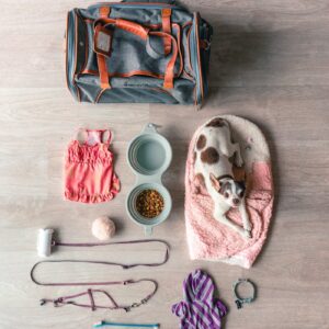 No-Pull Adjustable Dog Harness and Leash Set