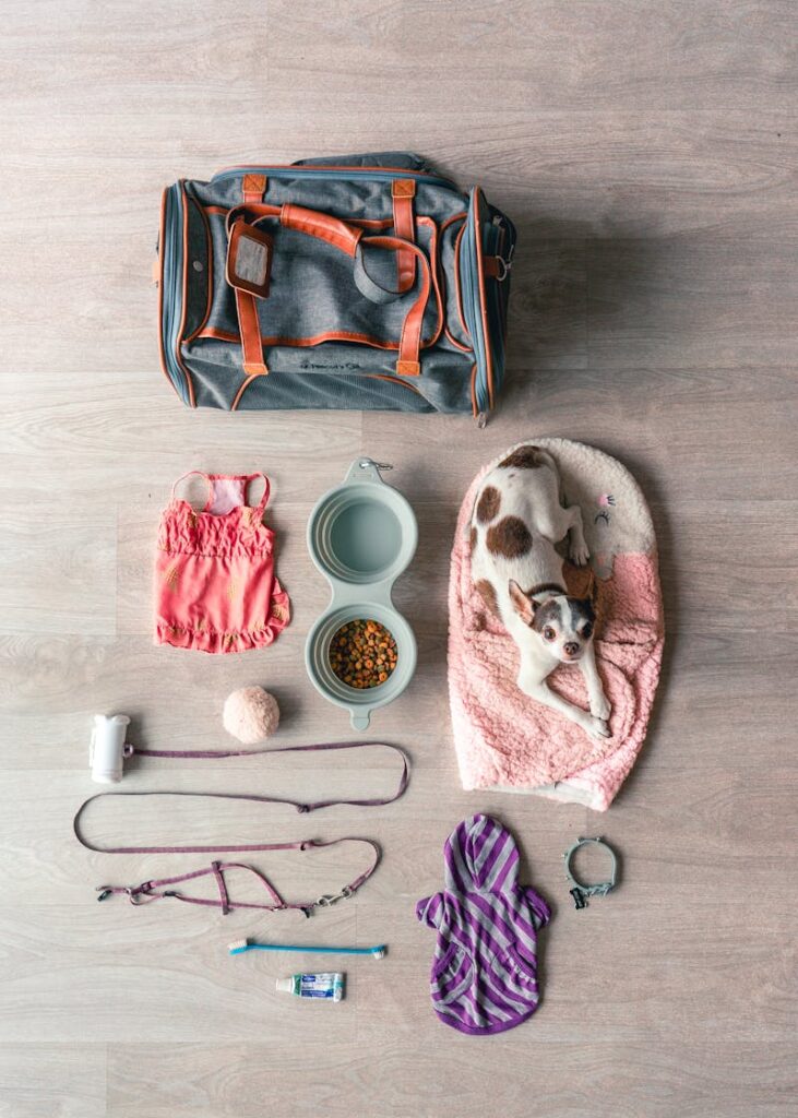 No-Pull Adjustable Dog Harness and Leash Set