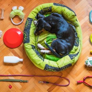 Washable Round Plush Pet Bed Collection