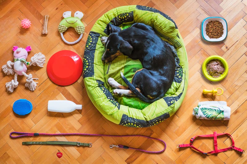Washable Round Plush Pet Bed Collection