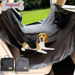 Outdoor Area Walking Pet Leash