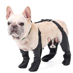 Anti-Slip Outdoor Dog Shoes