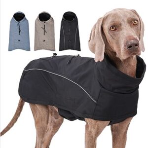 Outdoor Softshell Dog Jacket