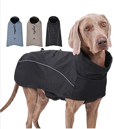 Outdoor Softshell Dog Jacket