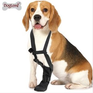 Front-Leg Anti-Slip Dog Paw Protector Boots