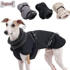 Functional Warm Pet Outdoor Jacket