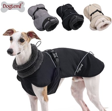 Functional Warm Pet Outdoor Jacket
