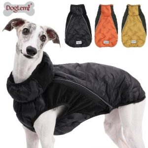 Stretch Slim-Fit Down Dog Jacket