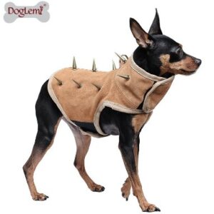 Limited Small Dog Protective Shield Vest