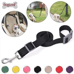 Car Seat Safety Leash