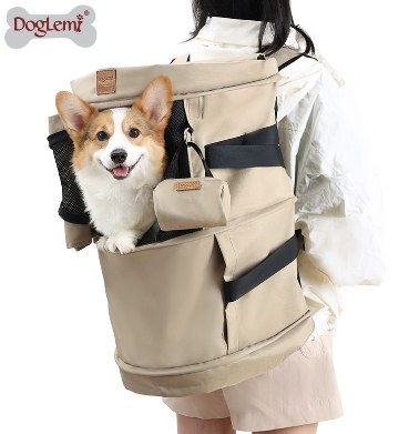 Multifunction Pet Travel Time Bag