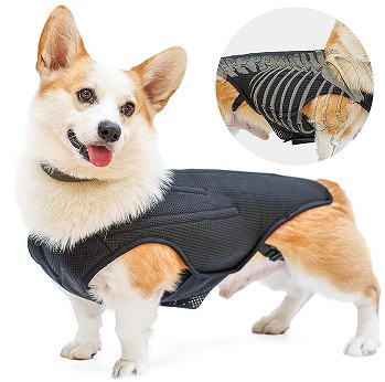 Dog Intervertebral Disc Support Vest and Back Pain Relief Harness