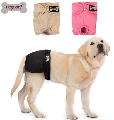 Female Dog Sanitary Diaper Pants