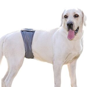 Antibacterial Male Dog Belly Band Diaper Pants