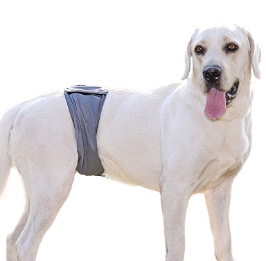 Antibacterial Male Dog Belly Band Diaper Pants