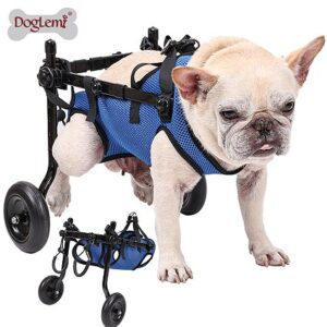 Pet Mobility Wheelchair Walker