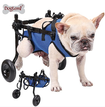 Pet Mobility Wheelchair Walker