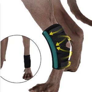 Second-Generation Upgraded Dog Leg Recovery Wrap