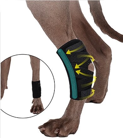Second-Generation Upgraded Dog Leg Recovery Wrap