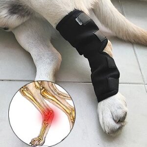 Dog Leg Guard Injury Recovery Support Brace