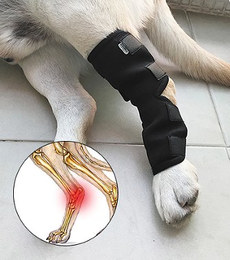 Dog Leg Guard Injury Recovery Support Brace