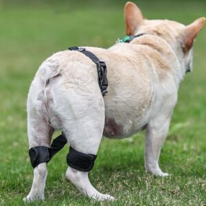 Hip Joint Support Correction Strap