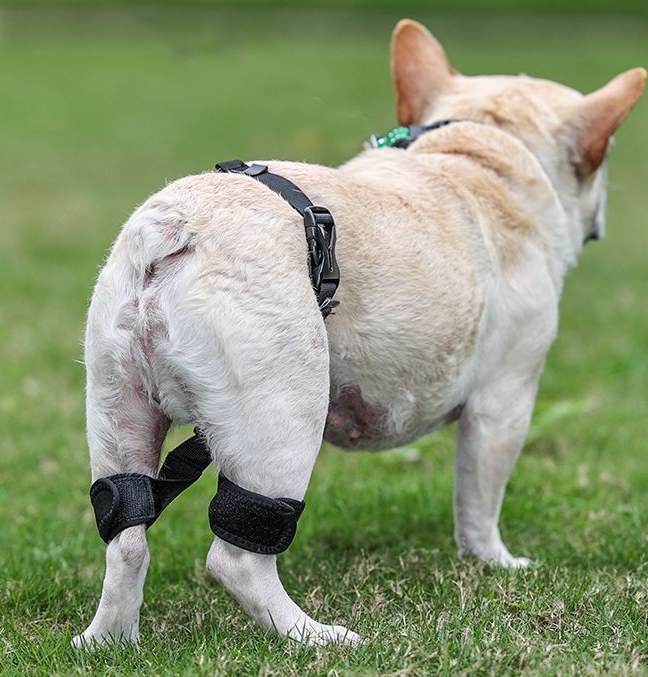 Hip Joint Support Correction Strap