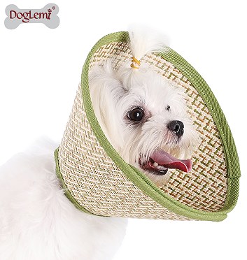 Pet Elizabethan Recovery Collar for Cats and Small Dogs, Anti-Lick Anti-Bite Cone