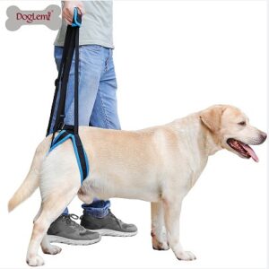 Pet Rear-Leg Walking Support Harness, Stair Assist Sling for Injured, Disabled, or Senior Dogs
