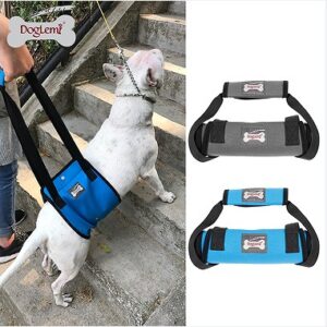 Dog Rear-Leg Walking Assist Harness for Senior or Injured Dogs