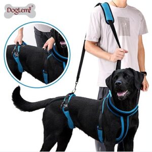 Full-Body Dog Support Harness for Injured, Disabled, or Senior Dogs