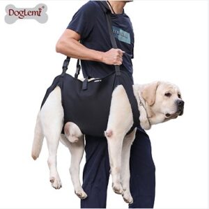 Full-Body Dog Walking Support Harness