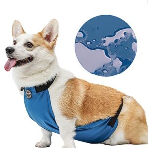Waterproof Belly Warmer for Corgis