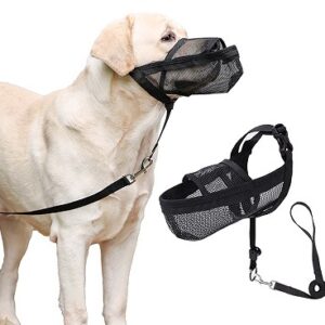 No-Pull Muzzle Leash
