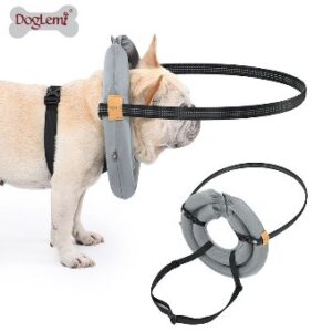 Blind Dog Anti-Collision Protective Ring