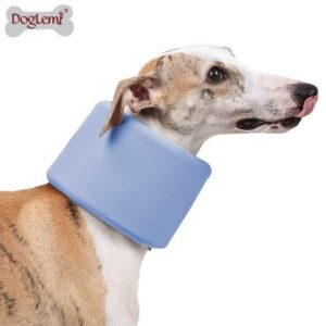Pet Recovery Neck Collar