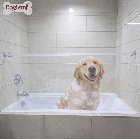 Dog Bath Splash Guard Curtain