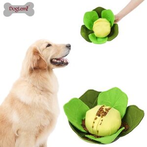 Cabbage Snuffle Toy