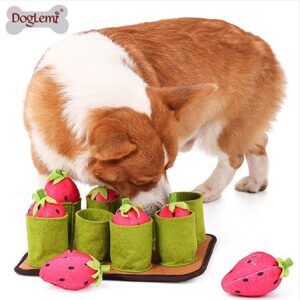 Pull-the-Strawberry Dog Puzzle Snuffle Toy