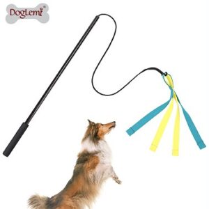 Interactive Dog Flirt Pole Toy