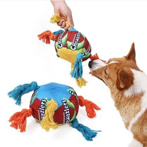 Rainbow Twisted Candy Ball Dog Toy