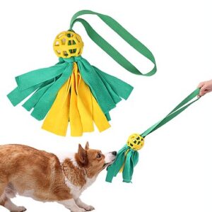Interactive Hollow Ball Pet Toy