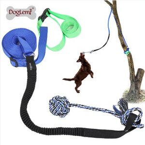 Outdoor Bungee Hanging Ball Pet Toy