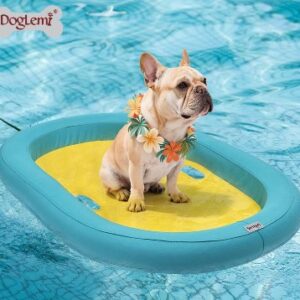 Summer Pet Boat