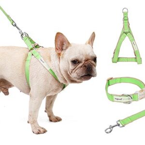 Natural Antibacterial Bamboo Fiber Dog Harness, Collar and Leash