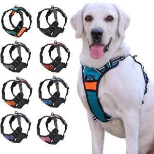 Vest-Style Harness for Medium and Large Dogs