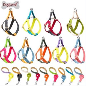 Colorful INS-Style Dog Harness and Leash Set