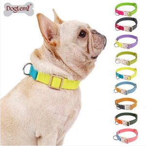 INS-Style Two-Tone Pet Collar