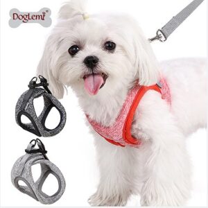 Lightweight Vest Pet Harness and Leash