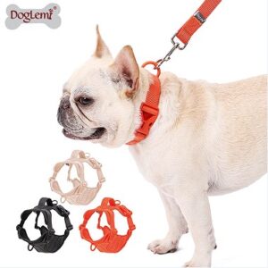Macaron Anti-Pull Dog Harness Set